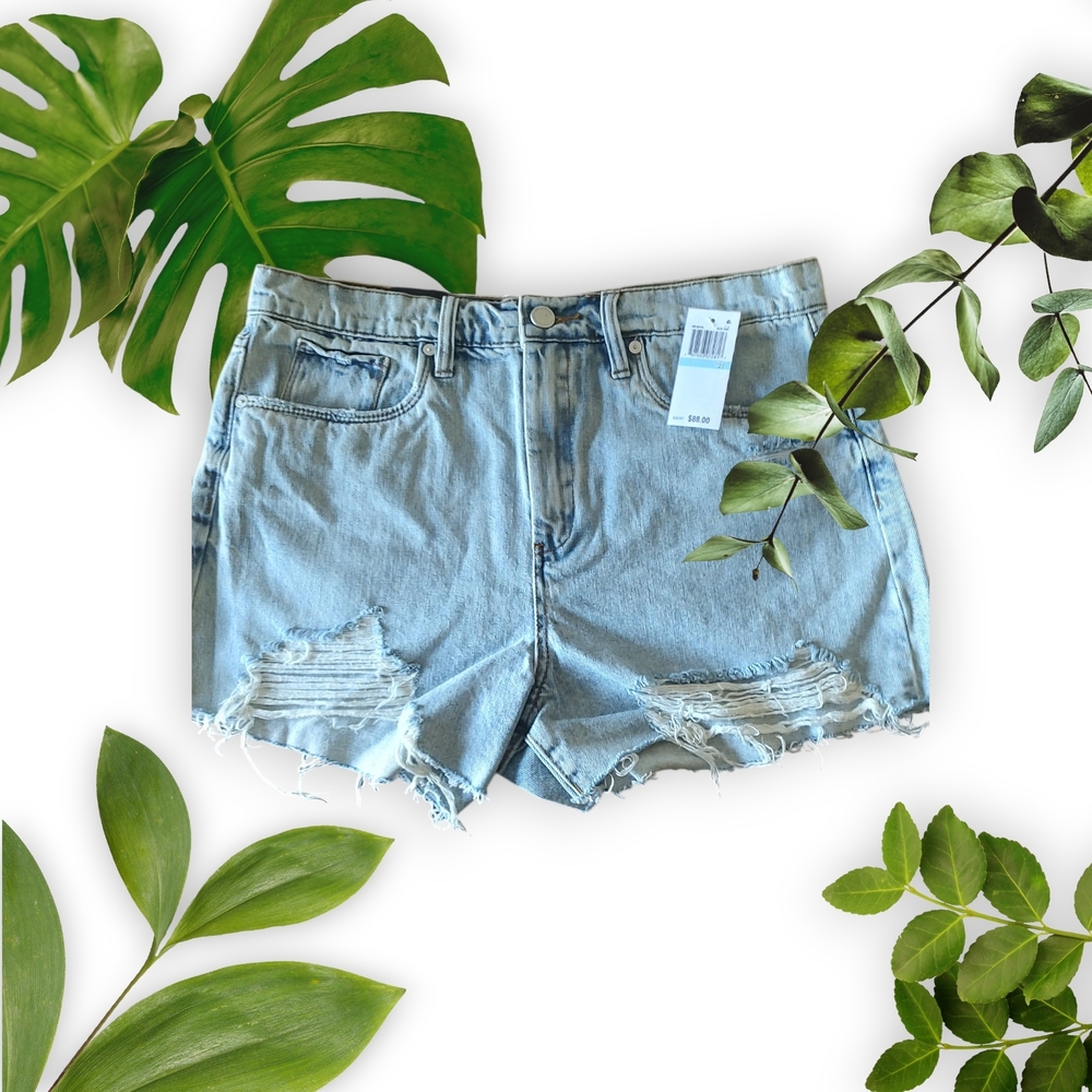Blank NYC Light Blue Denim Shorts